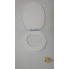 СИДЕНИЕ С КРЫШКОЙ ДЛЯ УНИТАЗА